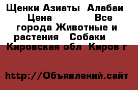 Щенки Азиаты (Алабаи) › Цена ­ 20 000 - Все города Животные и растения » Собаки   . Кировская обл.,Киров г.